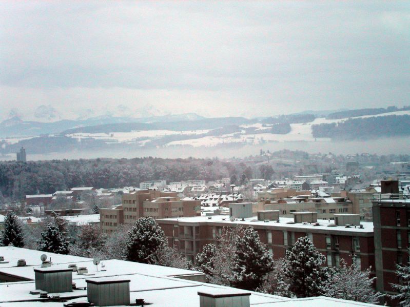 Winter on L�ngfeldstrasse